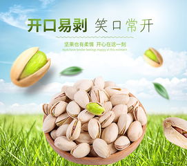 食品機械設備 現代食品工業的智能引擎