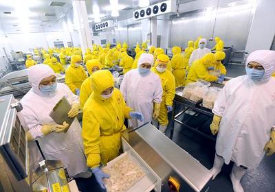 河南強化出口禽肉全過程質量監督，以電子化監管模式提升食品安全水平